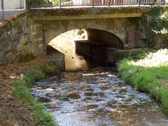 P7060978